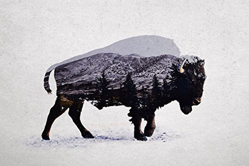 Gango Home Decor Rustic Elk, Bison, Wolf and Bear Landscape Set; Cabin Lodge Decor; Four 10x8in Unframed Poster Print