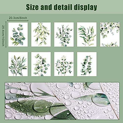 Zonon 9 Pieces Botanical Plant Wall Art Prints Eucalyptus Wall Decor Boho Sage Green Leaves Room Decor Posters Unframed Minimalist Wall Art for Bathroom Living Room Bedroom Kitchen (Plant Style)