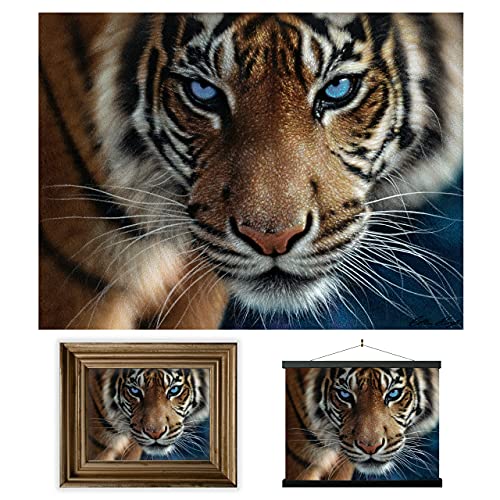 3D LiveLife Lenticular Wall Art Prints - Blue Eyes from Deluxebase. Unframed 3D Tiger Poster. Perfect wall decor. Original artwork licensed from renowned artist, Steve Sundram