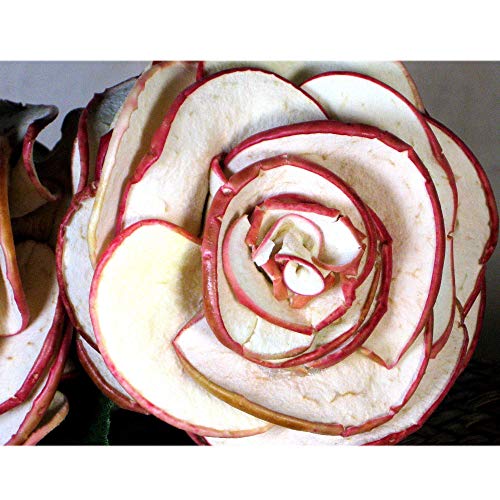 Apple Rose Bouquet Dried Apple Petals 1 Full Bloom Single Rose