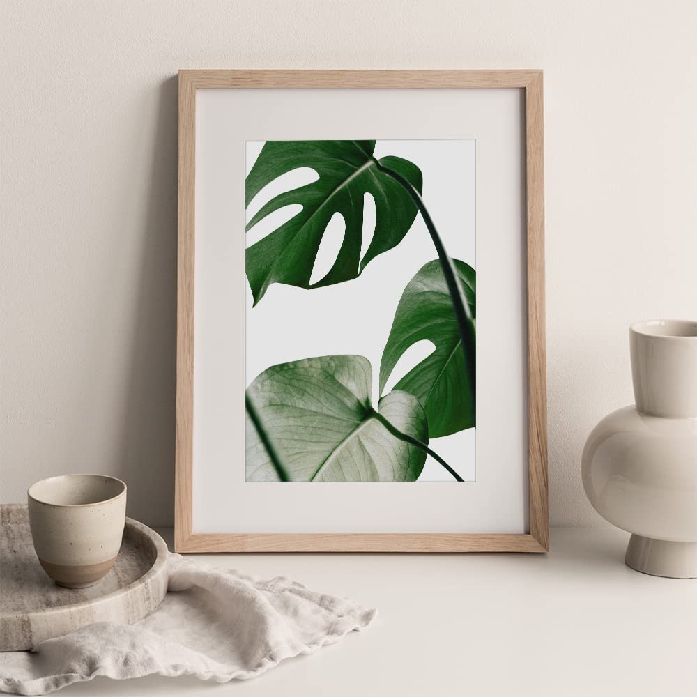 Canssape Set of 6 Botanical Wall Art Prints 8"x10" Turtleback bamboo Poster Prints Room Decor Aesthetic Wall Decor for Bedroom Botanical Posters for Living Room Wall Decor (Unframed)