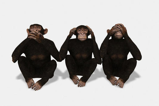 Three Monkeys Speak See and Hear No Evil Rendering Primate Poster Monkey Decor Monkey Paintings For Wall Monkey Monkey Decor Tropical Nature Wildlife Art Print Thick Paper Sign Print Picture 12x8