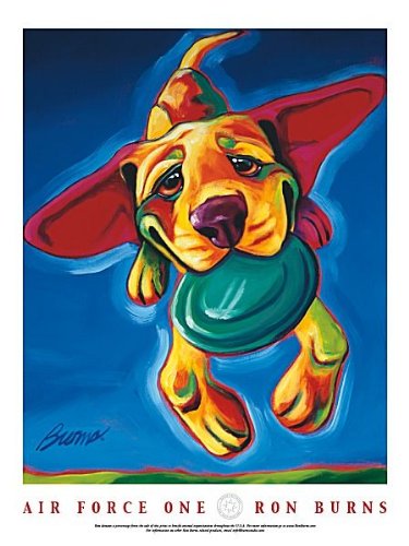 Air Force One by Ron Burns, Dog Playing Catch Art Print Poster (Overall Size: 18x24) (Image Size: 16x20)