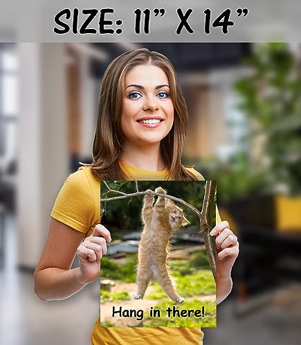 Hang in There Cat Poster - Printed on Premium Cardstock Paper - Sized 11 x 14 Inch - Perfect Funny Motivational Poster For Home or Office - Humorous Decor, Funny Quote