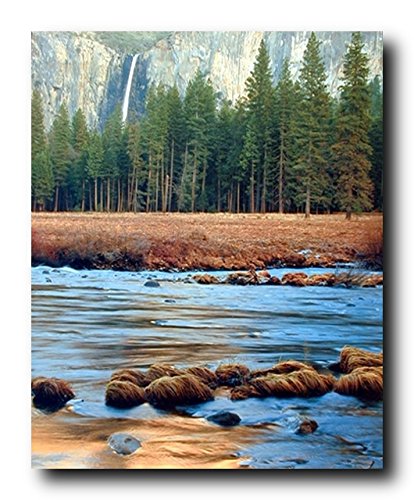 Yosemite Falls & River Trees National Park Landscape Scenery Wall Decor Art Print Poster (16x20)