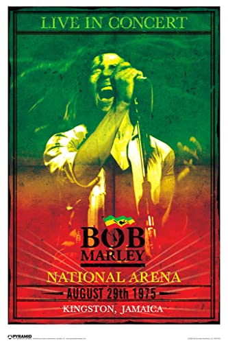 Pyramid America Bob Marley Concert Cool Wall Decor Art Print Poster 12x18