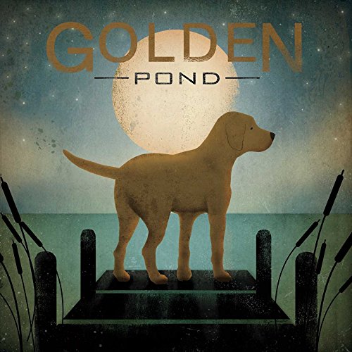 Posterazzi Collection Moonrise Yellow Dog-Golden Pond Poster Print by Ryan Fowler (12 x 12)