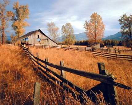 Trees Scenery Wall Decor Old Wood Barn with Fence Fall Art Print Poster (16x20)