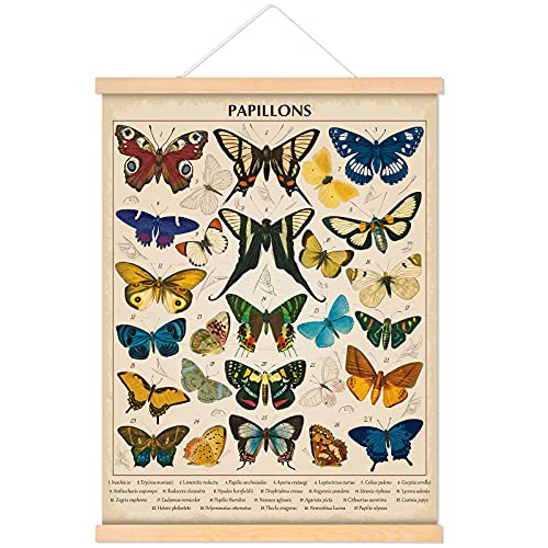 Vintage Papillons Butterflies Poster Butterflies Wall Art Prints Rustic Style of Butterflies Wall Hanging for Living Room Office Classroom Bedroom Playroom Dining Room Decor Frame 15.7 x 19.7 Inch