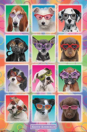 Trends International Keith Kimberlin - Puppies - Sunglasses Wall Poster, 22.375" x 34", Unframed Version