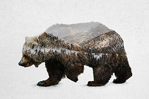 Gango Home Decor Rustic Elk, Bison, Wolf and Bear Landscape Set; Cabin Lodge Decor; Four 10x8in Unframed Poster Print