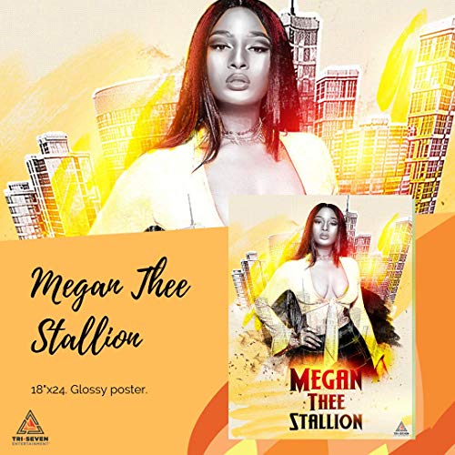 777 Tri-Seven Entertainment (18x24 Megan Thee Stallion Poster Wall Art Print, Multi-Color