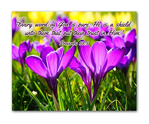 8x10 BIBLE QUOTES Christian Inspirational Wall Decor Posters. Set of 4 Unframed Poster Prints. Made in USA.