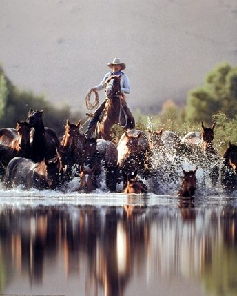 Cowboy Roundup Horses Old West Western Room Decor Picture Art Print Poster (16x20)