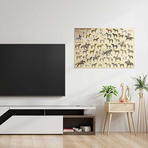 Picture Peddler North American Horses Educational Reference Equine Chart Print Poster 24x36