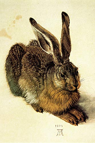 American Gift Services - Albrecht Durer Fine Art Poster Print A Young Hare - 11x17