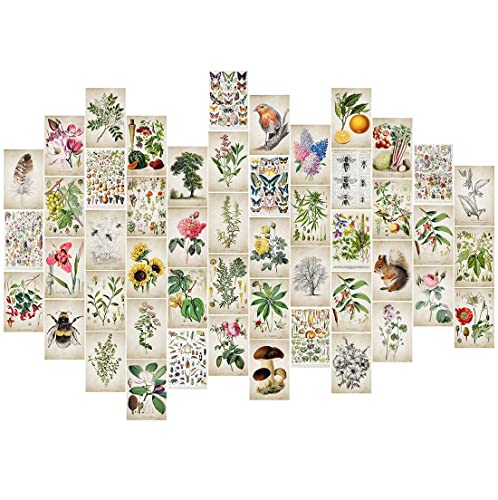 Vintage Posters for Room Aesthetic, Botanical Wall Collage Kit, Bedroom Wall Decor, Room Decor Aesthetic, Collage Kit, Vintage Plant Wall Art Print Pictures, Cottagecore Decor