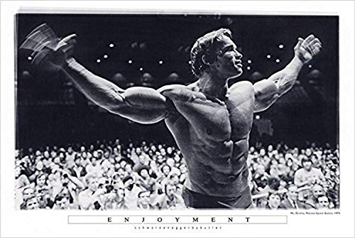 Buyartforless Enjoyment - Arnold Schwarzenegger Mr Olympia Madison Square Garden 36x24 Photograph Art Print Poster Pumping Iron