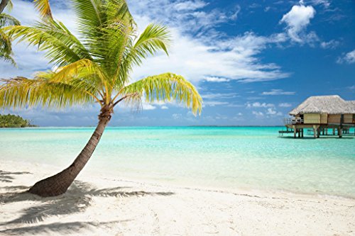 Palm Tree Poster Wall Art Huts on Tropical Beach Photo Photograph Sunset Landscape Pictures Ocean Scenic Scenery Nature Photography Paradise Scenes Home Gift Cool Wall Decor Art Print Poster 18x12