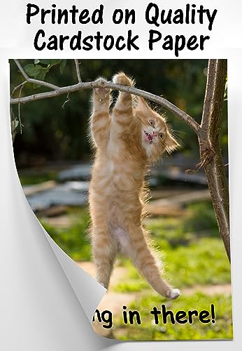 Hang in There Cat Poster - Printed on Premium Cardstock Paper - Sized 11 x 14 Inch - Perfect Funny Motivational Poster For Home or Office - Humorous Decor, Funny Quote