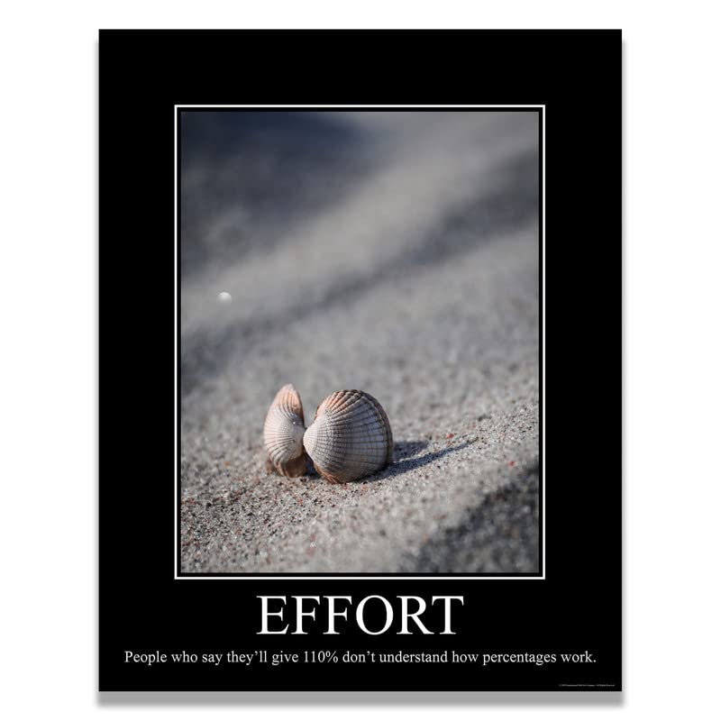 Effort Demotivational Poster Snarky Ironic Funny Sarcastic Office Wall Decor Art Print 11x14 Inches Unframed