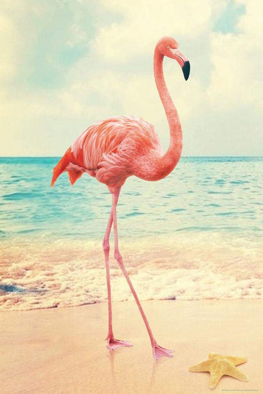 Flamingo on Beach With Starfish Flamingo Prints Flamingo Wall Decor Beach Theme Bathroom Decor Wildlife Print Pink Flamingo Bird Exotic Beach Poster Thick Paper Sign Print Picture 8x12