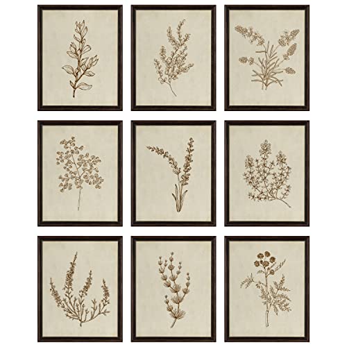 97 Decor Botanical Wall Art - Vintage Botanical Prints, Plant Art Wall Decor, Neutral Floral Wall Art Pictures, Beige Flower Poster Paintings, Flower Sketch Drawing for Bedroom (8x10 UNFRAMED)
