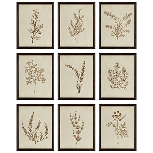 97 Decor Botanical Wall Art - Vintage Botanical Prints, Plant Art Wall Decor, Neutral Floral Wall Art Pictures, Beige Flower Poster Paintings, Flower Sketch Drawing for Bedroom (8x10 UNFRAMED)