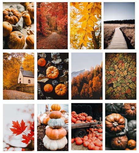 Fall Autumn Pumpkin Posters For Room Aesthetic - 4x6 Inches Set Of 60 Autumn Wall Art - Fall Room Decor - Fall Wall Art - Fall Prints - Fall Bedroom Decor - Halloween Posters - Autumn Wall Decor -