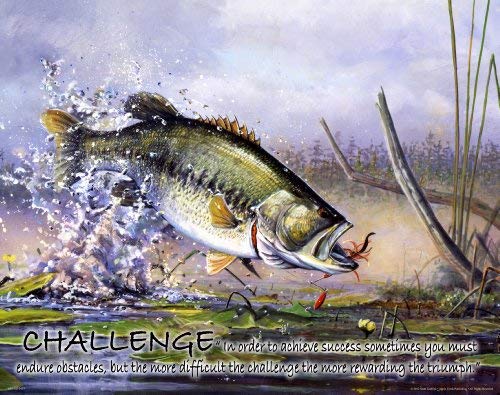 Fishing Motivational Poster Art Print Large Mouth Bass Walley Muskie Lures Poles 11x14 Wall Decor Pictures