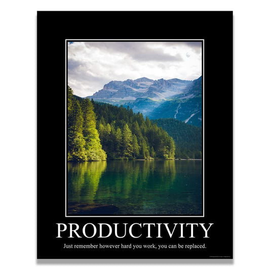 Productivity Demotivational Poster Ironic Snarky Funny Sarcastic Office Wall Decor Art Print 11x14 Inches Unframed