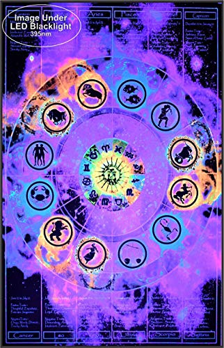 Studio B Zodiac Chart NonFlocked Blacklight Cool Wall Decor Art Print Poster 24x36