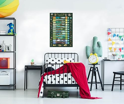 Eras of Life Poster 24x36 Illustrated Geological Chart NEW EDITION! Art Poster Print, 24x36