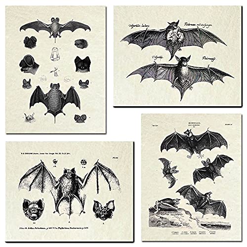 KIHOARL 4 Pcs Bats Wall Decor Bats Wall Art Canvas Print,Vintage Retro Hipster Gothic Wall Decor Goth Art Gothic Gifts Creepy Scary Anatomical Picture Poster for Home Living Room Bedroom Office