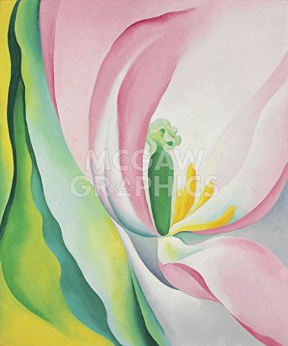 Bruce McGaw Graphics Pink Tulip, 1926 by Georgia O'Keeffe, Art Print Poster - Paper Size 11" x 14" Image Size 10" x 12" (457)