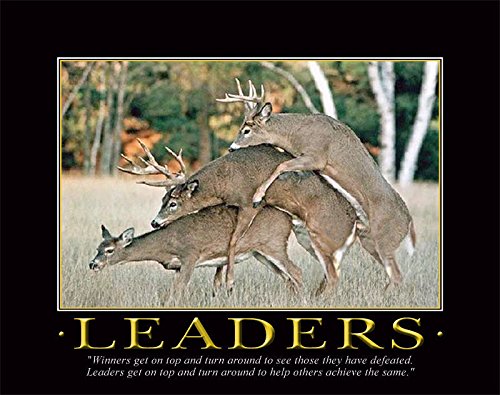 Whitetail Deer Motivational Poster Art Print 11x14 Bow Hunting Buck Commander Wall Decor Pictures