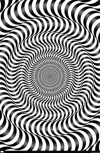 Trends International Zebra Stripe Optical Illusion Wall Poster, 22.375" x 34", Unframed Version