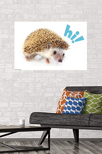 Trends International Cute Hedgehog - Hi! Wall Poster, 22.375" x 34", Unframed Version