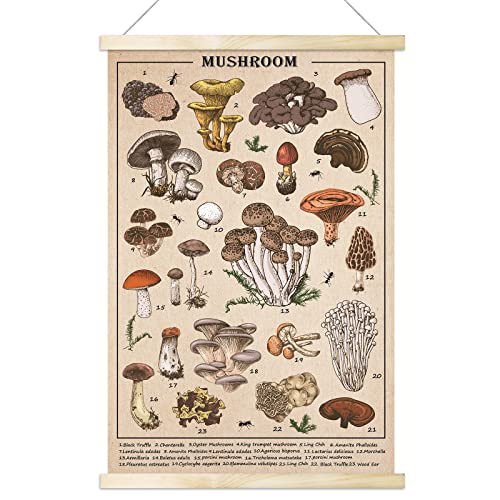 Tevxj Vintage Mushroom Poster Wall Art Prints Colorful Rustic Style of Mushroom Wall Hanging Illustrative Reference Chart Poster for Living Room Office Classroom Bedroom Playroom Room Decor Frame