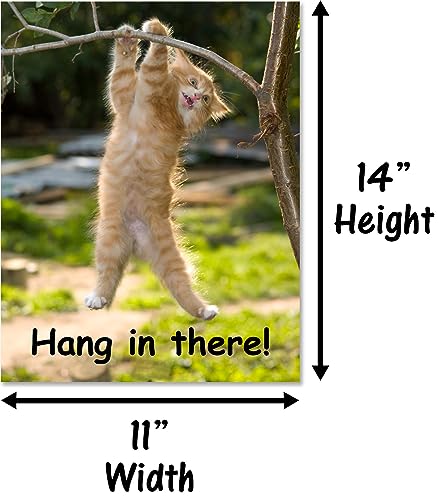 Hang in There Cat Poster - Printed on Premium Cardstock Paper - Sized 11 x 14 Inch - Perfect Funny Motivational Poster For Home or Office - Humorous Decor, Funny Quote