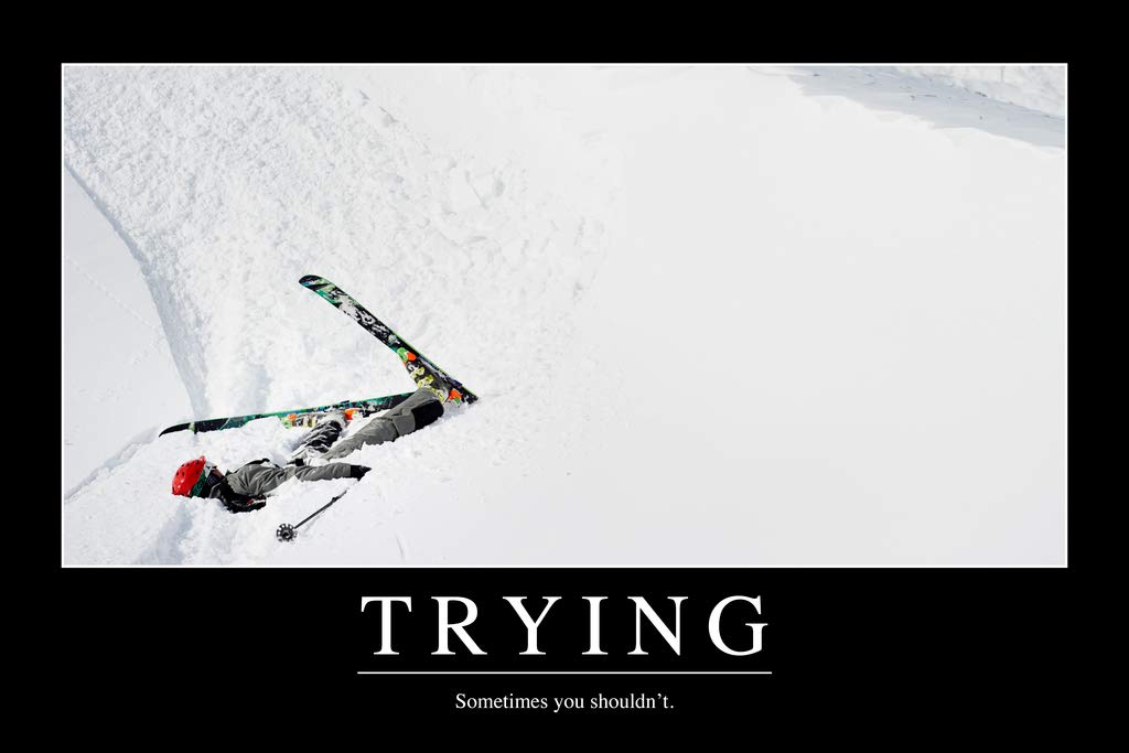 Trying Sometimes You Shouldnt Funny Demotivational Cool Wall Decor Art Print Poster 12x18