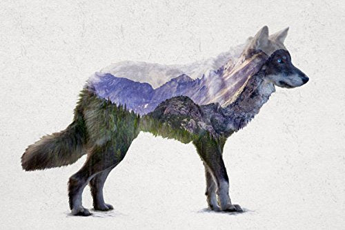Gango Home Decor Rustic Elk, Bison, Wolf and Bear Landscape Set; Cabin Lodge Decor; Four 10x8in Unframed Poster Print