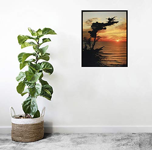 Ocean Landscape Sunrise At the Lone Cypress Point Nature Tree Wall Decor Art Print Poster (16x20)
