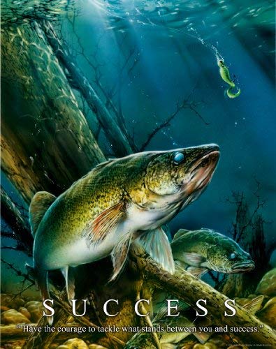 Apple Creek Fishing Motivational Poster Art Print Bass Walley Muskie Lures Poles 11x14 Wall Decor Pictures
