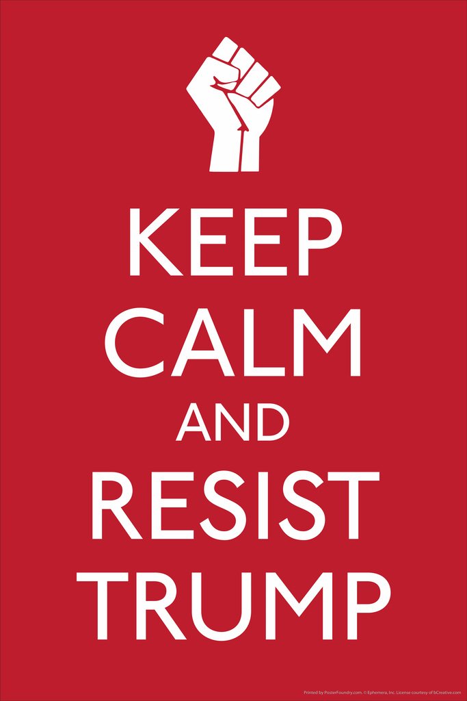 Keep Calm And Resist Trump Motivational Cool Wall Decor Art Print Poster 12x18