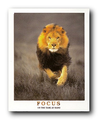 Running Lion Focus On The Task At Hand Wildlife Inspirational Animal Art Print Poster (16x20)