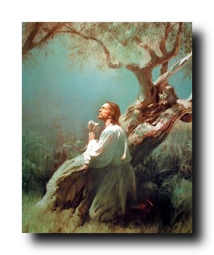 Impact Posters Gallery Jesus Christ Praying At the Garden of Gethsemane Religious Picture Art Print Wall Decor (8x10)