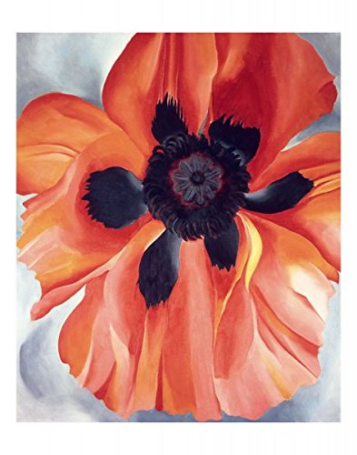 McGaw Graphics Red Poppy, No. VI, 1928 by Georgia O'Keeffe, Wall Art Print Poster, Paper Size 11" x 14" Image Size 10" x 12"(453)