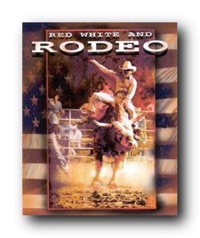 Vintage Western Wall Decor Rodeo Picture Cowboy Horse Riding Art Print Poster (16x20)