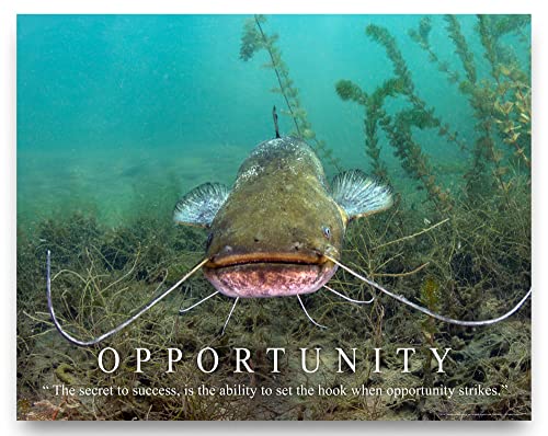 Apple Creek Fishing Opportunity Motivational Poster Art Print Blue Flathead Channel Catfish Largemouth Bass Walleye Muskie Lures Poles 11x14 Wall Decor Pictures
